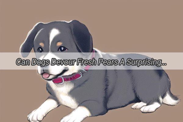 Can Dogs Devour Fresh Pears A Surprising Treat for Furry Friends